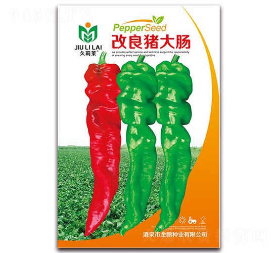 �s���i���c-�����N��-���i�N�I(y��)