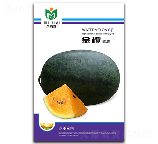 ���-���ϷN��-���i�N�I(y��)