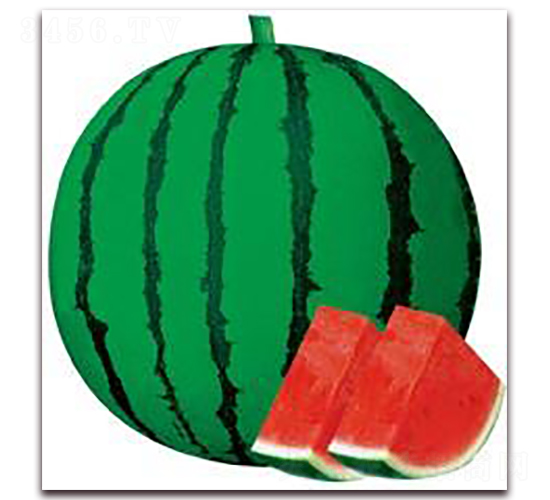 �OƷ����-���ϷN��-���i�N�I(y��)