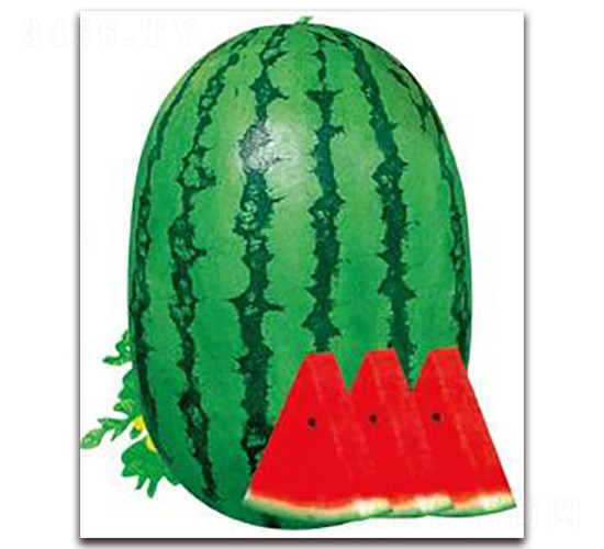 �ش����-���ϷN��-���i�N�I(y��)