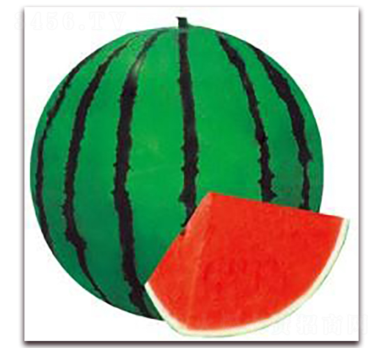 �ش��Ѿ���-���ϷN��-���i�N�I(y��)