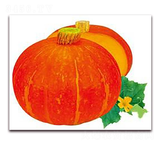 ��������-�ϹϷN��-���i�N�I(y��)