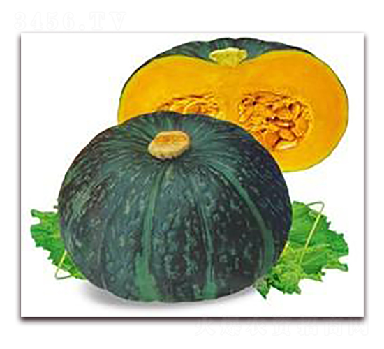 �G����-�ϹϷN��-���i�N�I(y��)