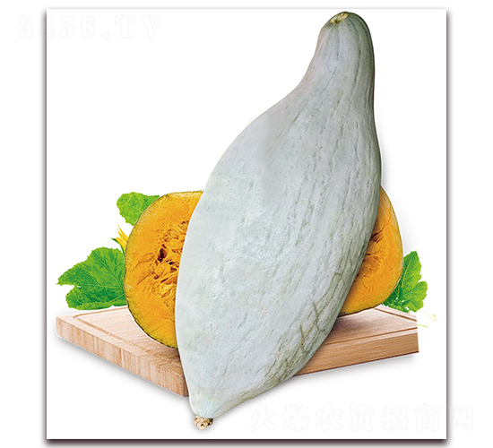 �F���Ϲ�-�ϹϷN��-���i�N�I(y��)