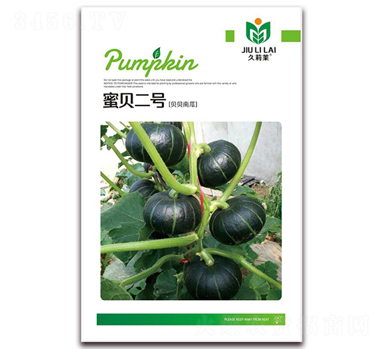 ��ؐ��̖-�ϹϷN��-���i�N�I(y��)