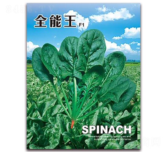 ȫ����-���˷N��-���i�N�I(y��)