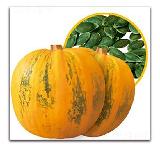 ��M��F1-�o���ϹϷN��-���i�N�I(y��)