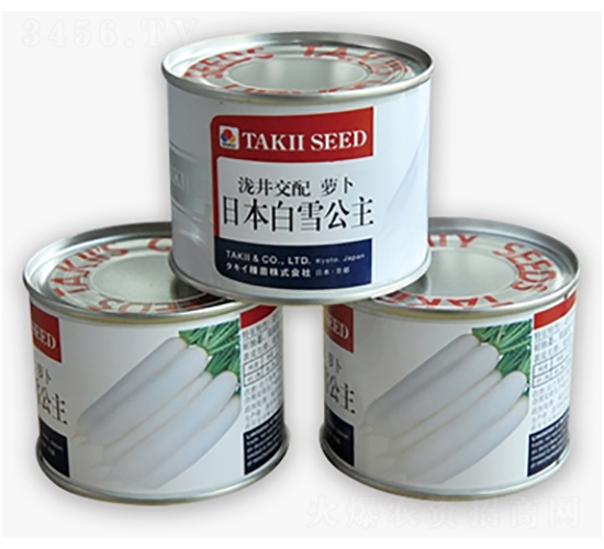 �ձ���ѩ����-���}���N��-����