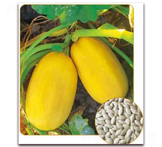 �S��P-09F1-���������J�N��-���i�N�I(y��)