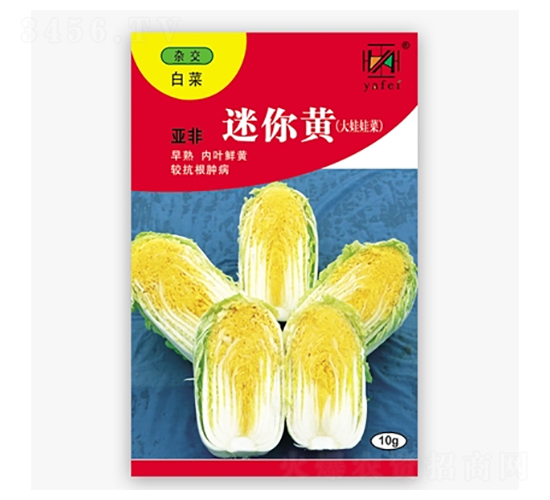 �����S-�ײ˷N��-����