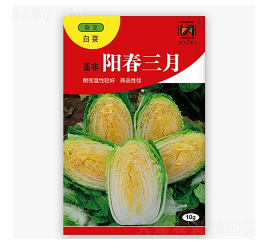 ꖴ�����-�ײ˷N��-����