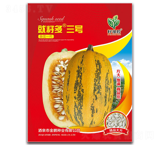 ���Ѷ���̖-���������J�N��-���i�N�I(y��)