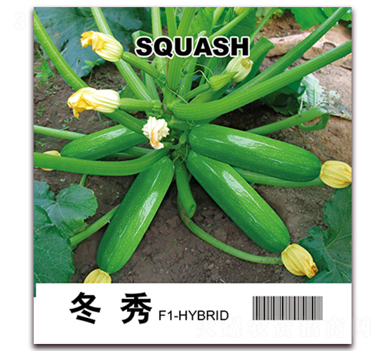 ����-���������J�N��-���i�N�I(y��)