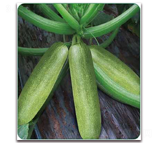 ����-���������J�N��-���i�N�I(y��)