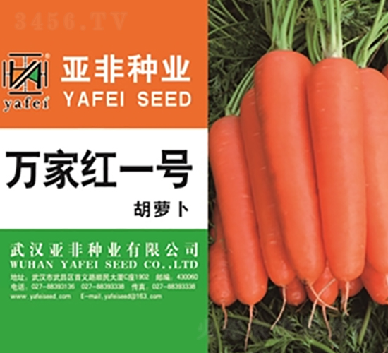 �f�Ҽtһ̖-���}���N��-����