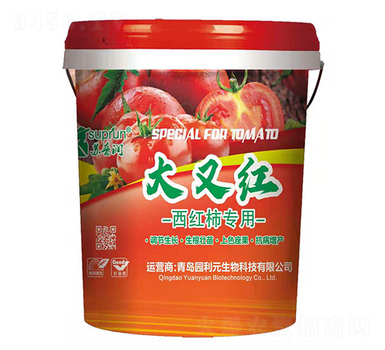 ���ּt-�K�՝�-�@��Ԫ