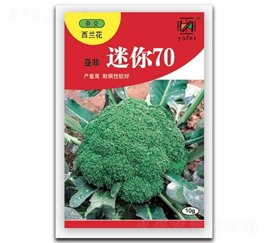 ����70-���m���N��-����