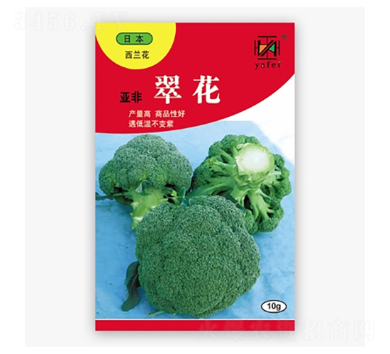 �仨-���m���N��-����