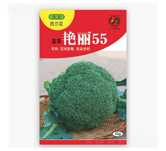 �����G��55-���m���N��-����