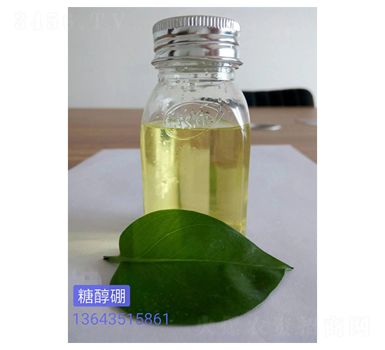 �Ǵ���-��������