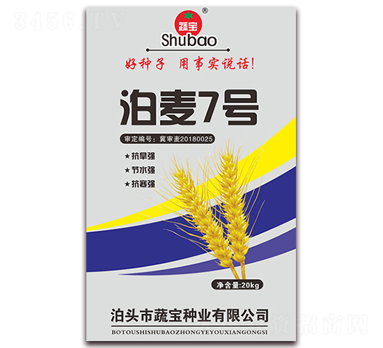 ����7̖-С���N��-�ߌ��N�I(y��)