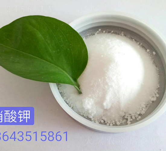 �����-��������