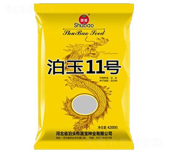 ����11̖(h��o)�����b��-���׷N��-�ߌ��N�I(y��)