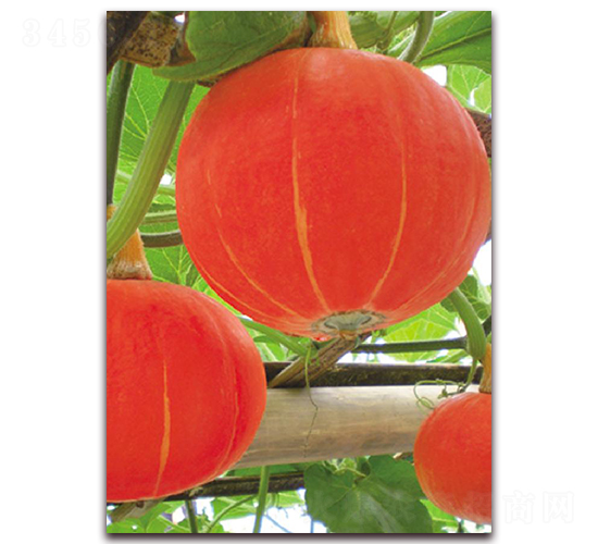 ����052-�ϹϷN��-�|������