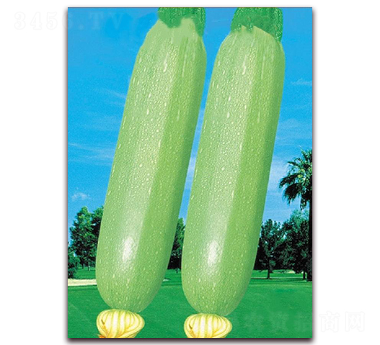 ���ȾGһ̖-�����J�N��-�|������