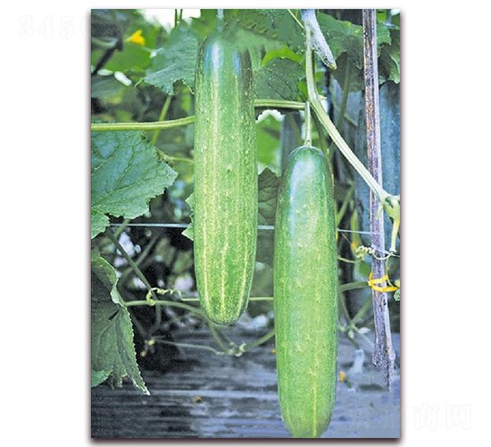 ����468-�S�ϷN��-�|������