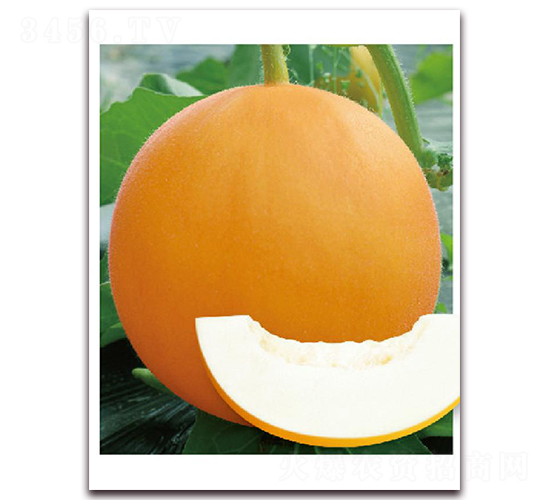 ��[136-��ϷN��-�|������