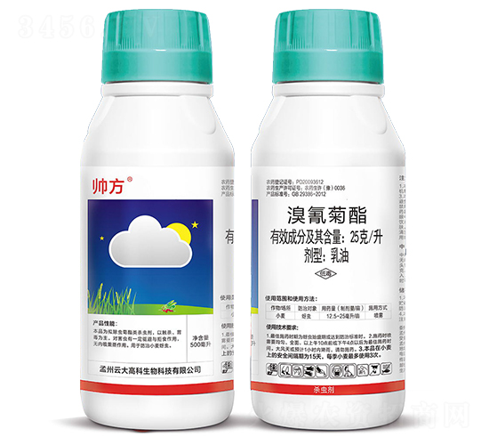 25��/���������-����-�ƴ�߿�