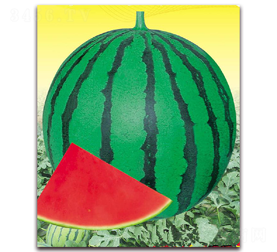 ��ϲһ̖(h��o)-���ϷN��-�|������