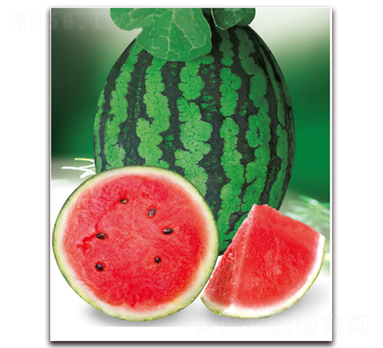 ����4K-���ϷN��-�|������