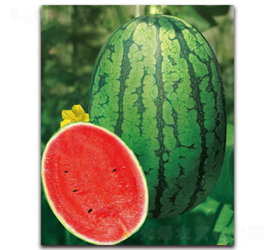 ����2K-���ϷN��-�|������