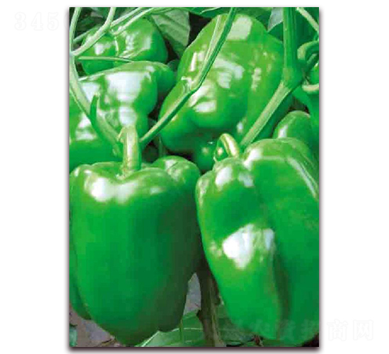 ����118-�����N��-�|������