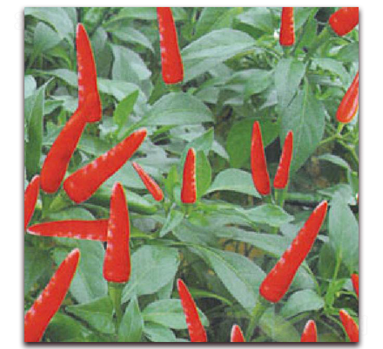 ����189-�����N��-�|������