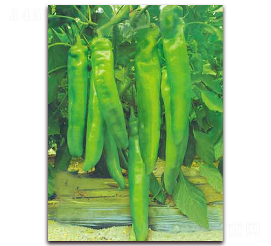 ������-�����N��-�|������