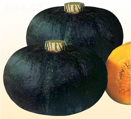 �ڹ��Ϲ�-�ϹϷN��-΢�ȷN�I(y��)