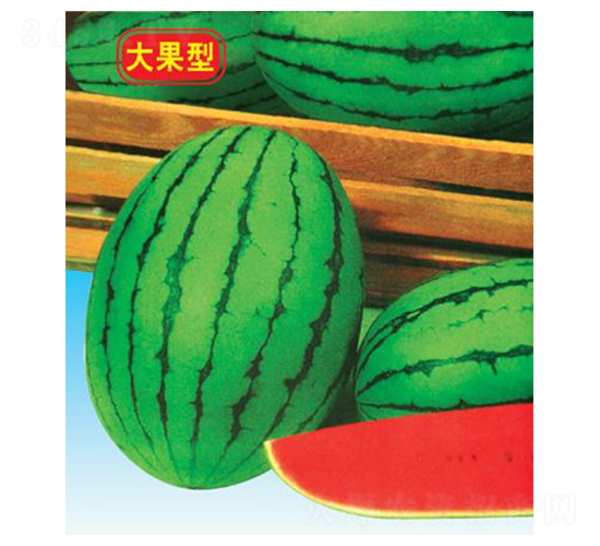 ����紺�t��-���ϷN��-΢�ȷN�I(y��)