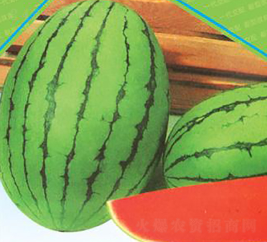 �紺�t��A8-���ϷN��-΢�ȷN�I(y��)