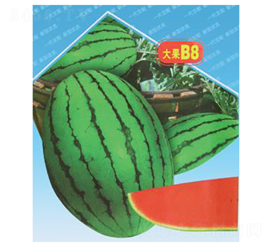 �紺�t��B8-���ϷN��-΢�ȷN�I(y��)