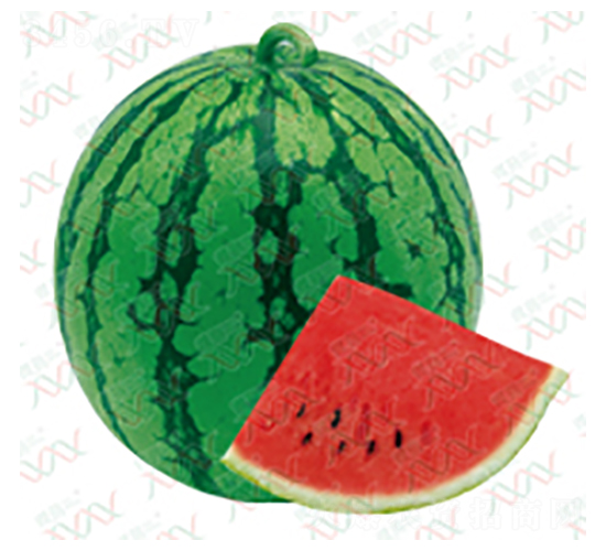 ��ζ-���ϷN��-΢�ȷN�I(y��)