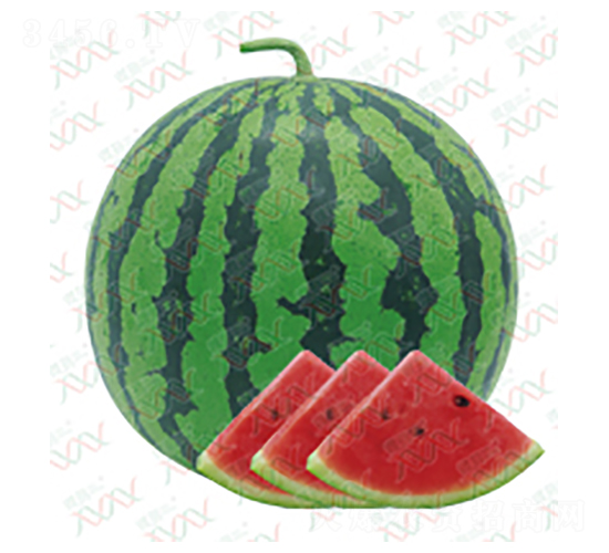 ���x-���ϷN��-΢�ȷN�I(y��)