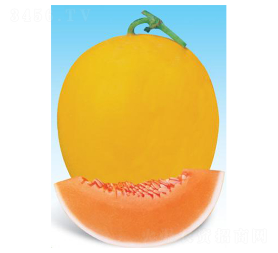 �t����һ̖-��ϷN��-΢�ȷN�I(y��)