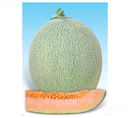 �t���ֶ�̖(h��o)-��ϷN��-΢�ȷN�I(y��)