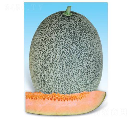 �t������̖-��ϷN��-΢�ȷN�I(y��)