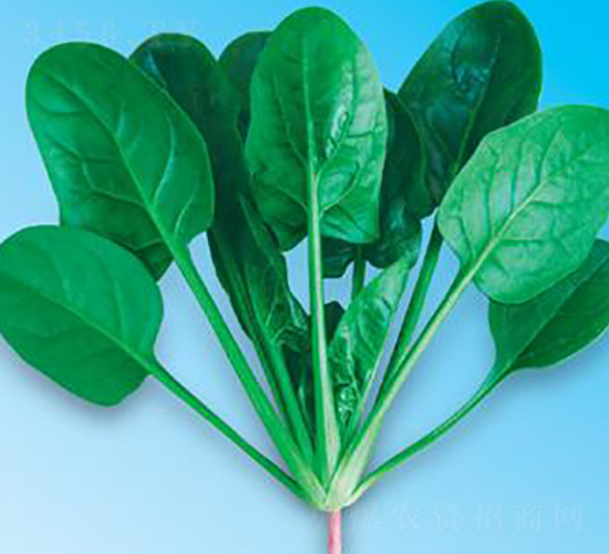 �G��(y��u)��7̖-���˷N��-΢�ȷN�I(y��)