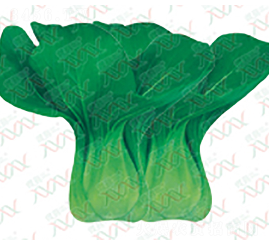 ���G����๣��-��˷N��-΢�ȷN�I(y��)