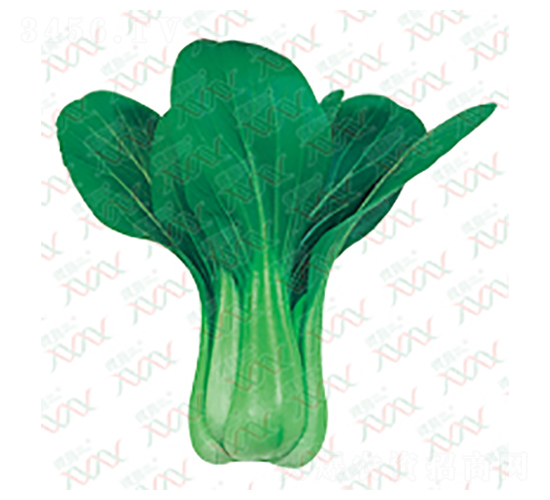 ��PK-14031-��˷N��-΢�ȷN�I(y��)